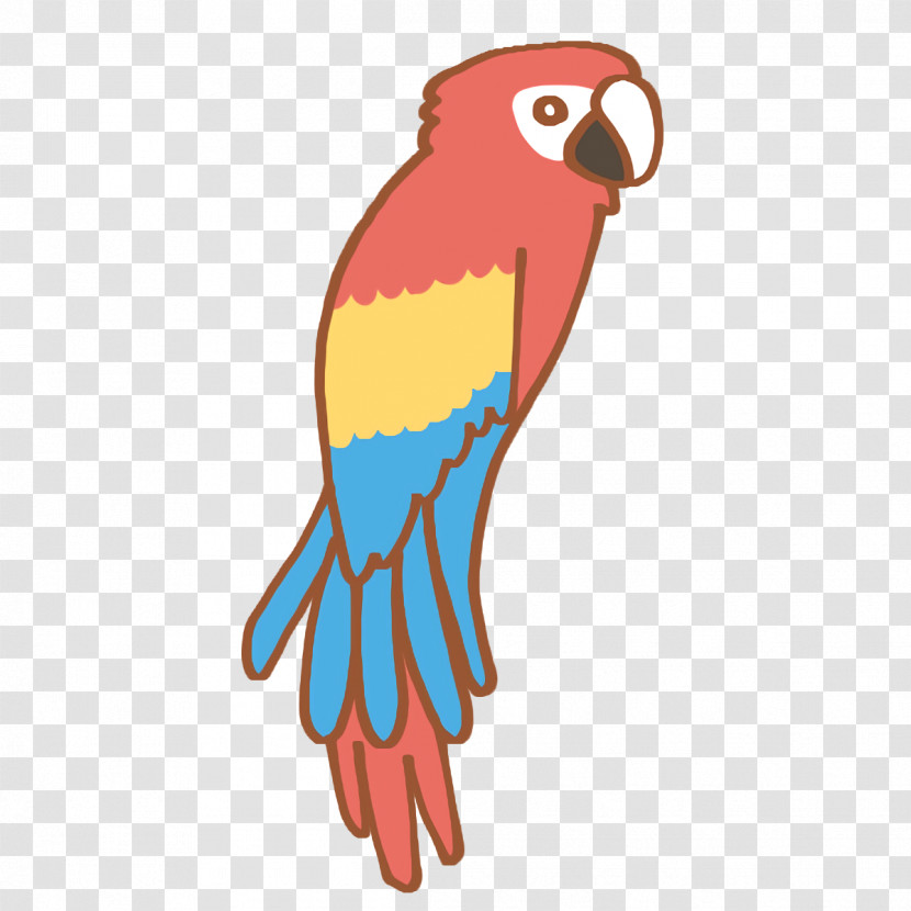 Macaw Beak Birds Parakeet Transparent PNG