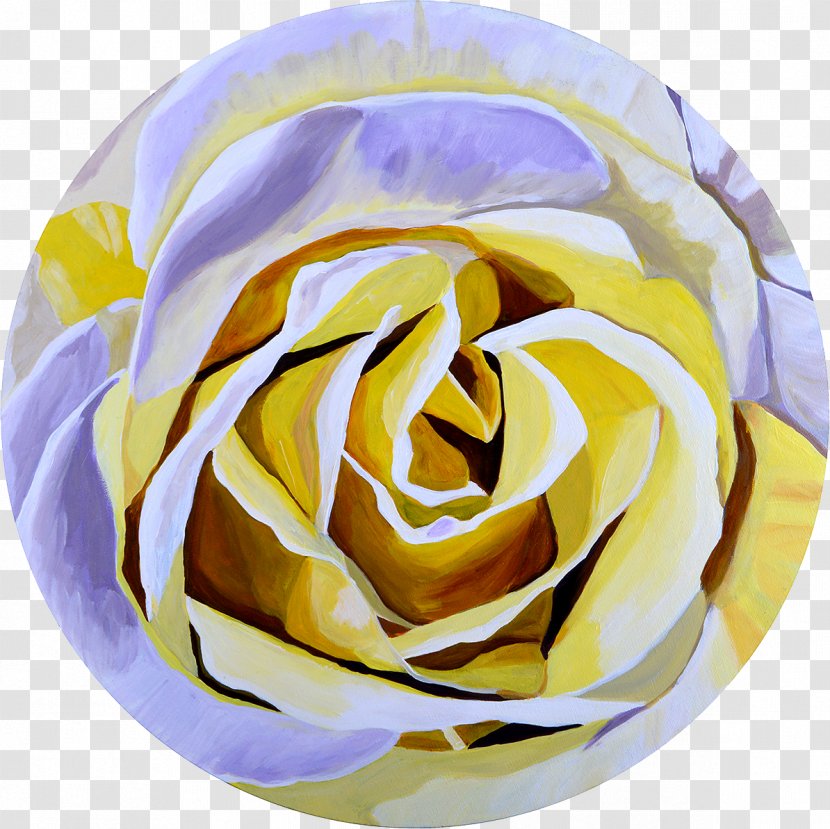 Garden Roses Cut Flowers Petal - Rose - Lemon Meringue Pie Transparent PNG