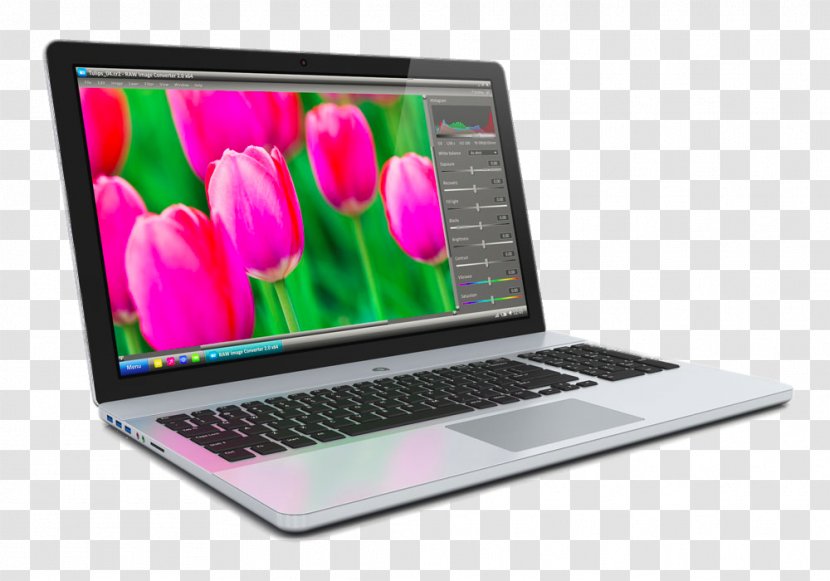 Laptop Stock Photography Royalty-free Clip Art Transparent PNG