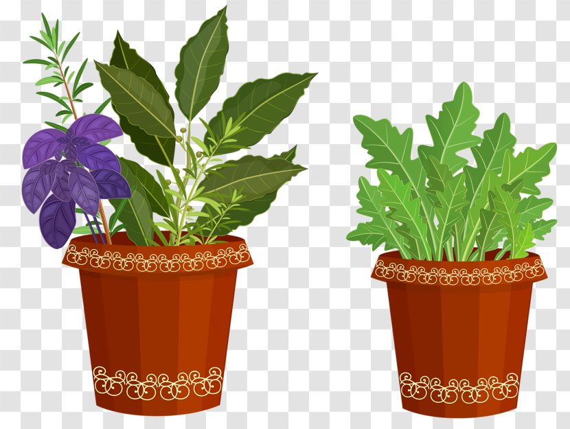 Clip Art Flowerpot Ornamental Plant Openclipart - Leaf - Plants Transparent PNG
