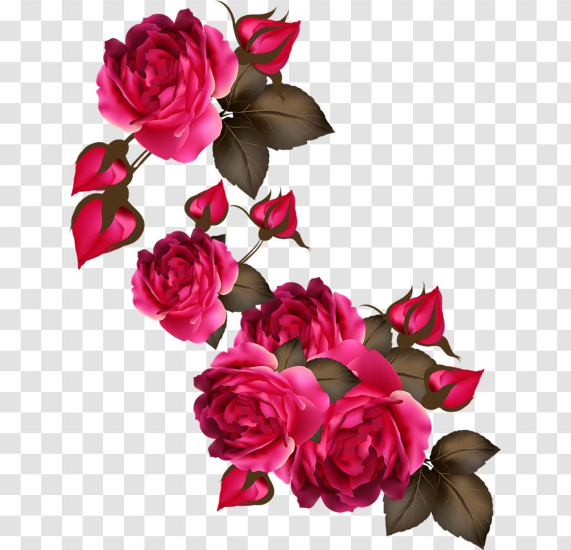 Garden Roses Flower - Designer Transparent PNG