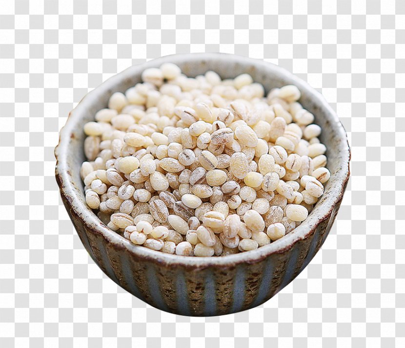 Adlay Pearl Barley Congee Rice - Food Grain - Small Ocean Transparent PNG