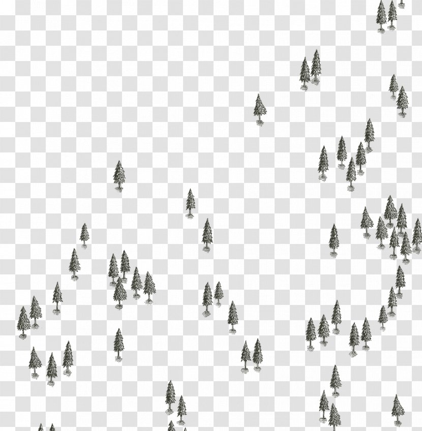 Line Angle Font Tree - Photography - Crowd Transparent PNG