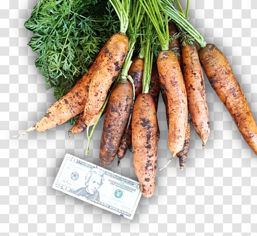 Animal Source Foods Vegetable Carrot - Food - Carrots Transparent PNG