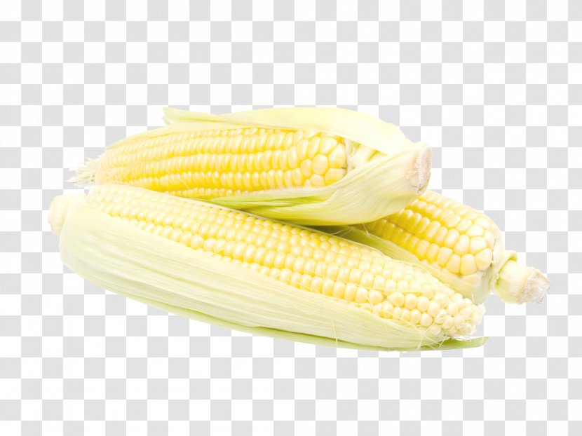 Corn On The Cob Kernel Starch Maize Corncob - Golden Transparent PNG