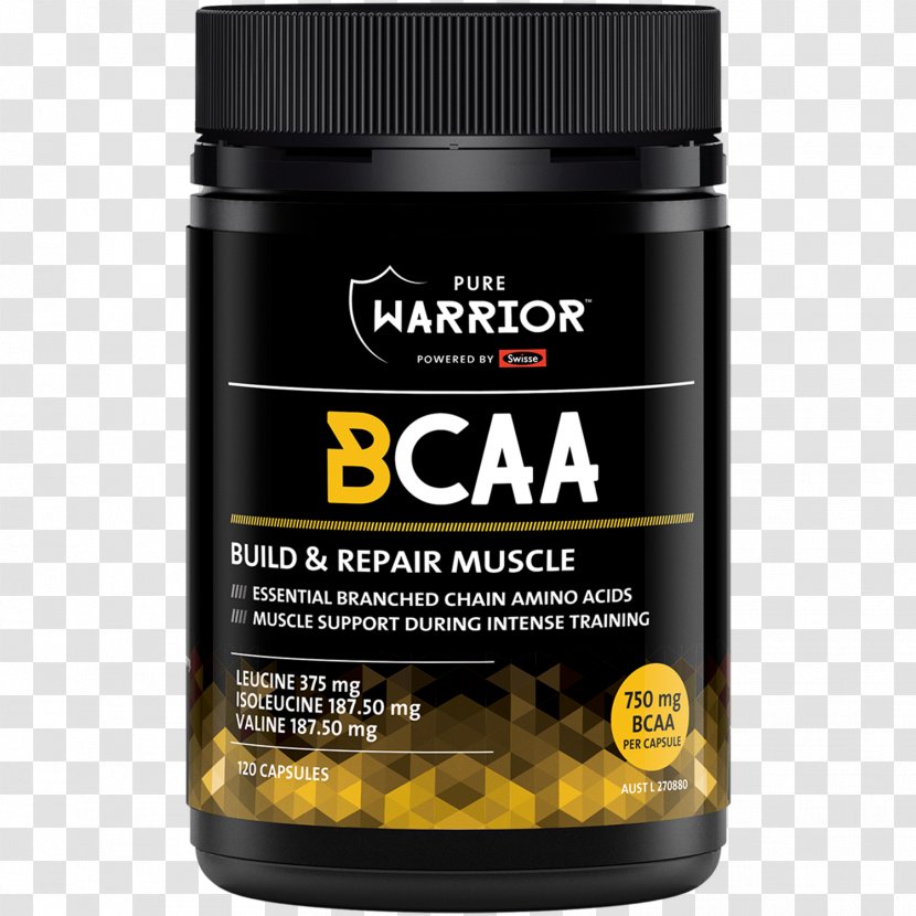 Dietary Supplement Branched-chain Amino Acid Creatine Capsule - Levocarnitine - Flavor Transparent PNG