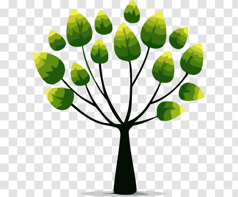 Leaf Plant Stem Tree Houseplant Chamaedorea Elegans Transparent PNG