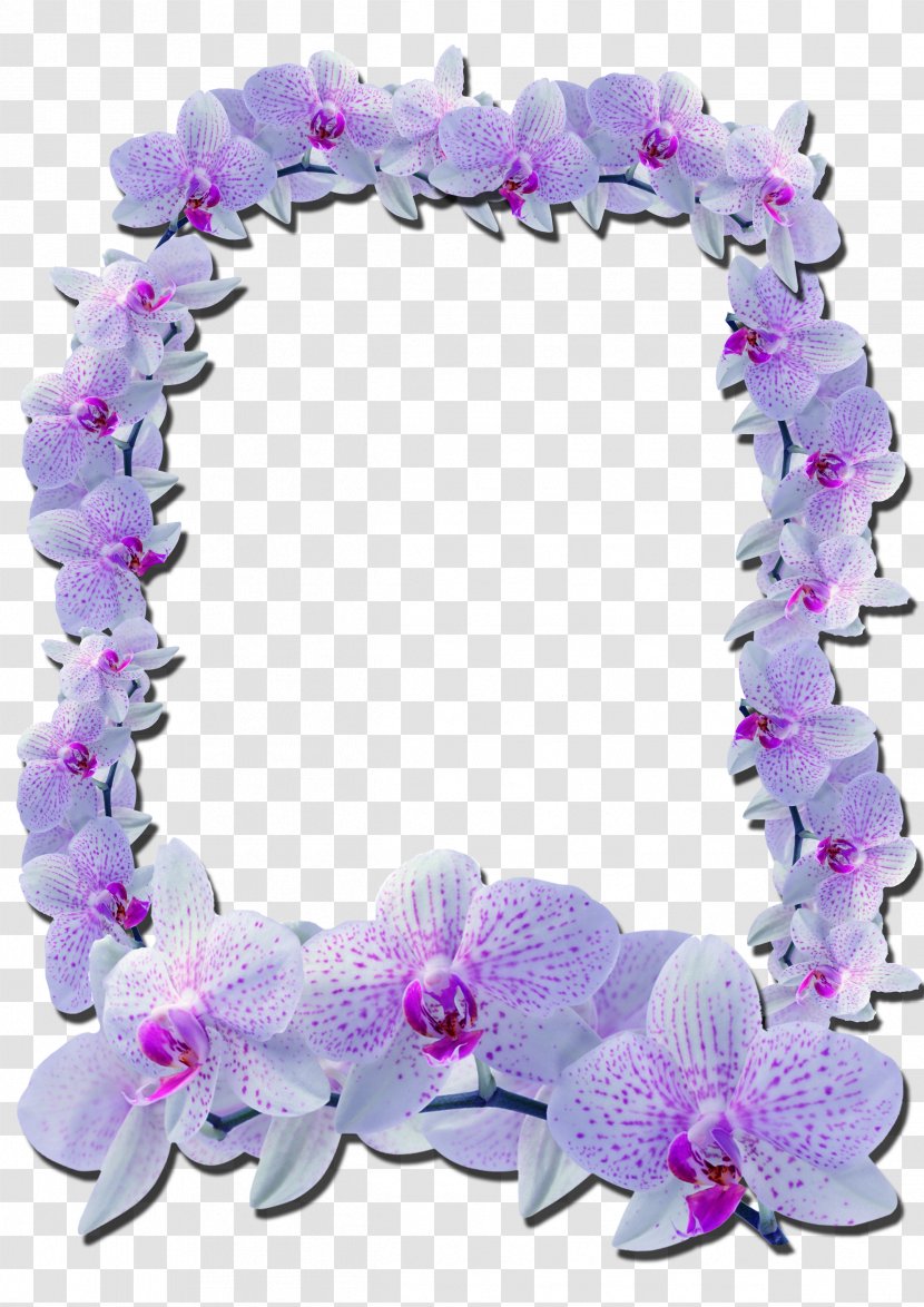 Picture Frames Photography Flower - Purple - Mirror Transparent PNG