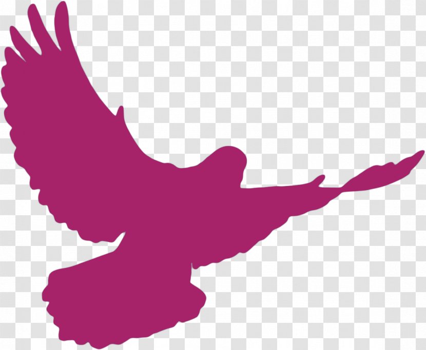 Columbidae Doves As Symbols Silhouette - Beak - WORSHIP Transparent PNG