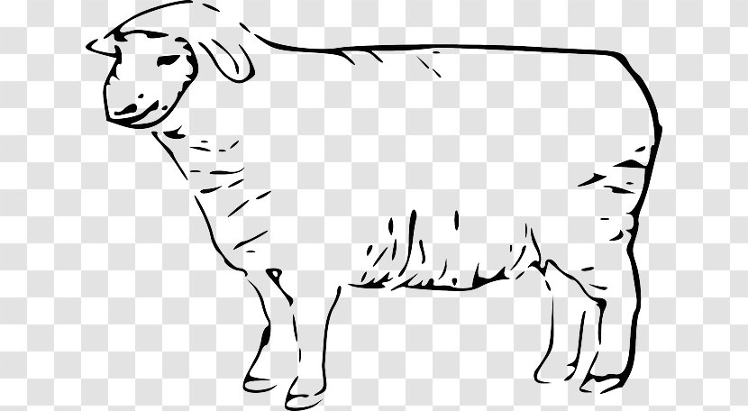 Drawing Clip Art Line Merino Lamb And Mutton - Cow Goat Family - Salamander Frog Skeleton Transparent PNG