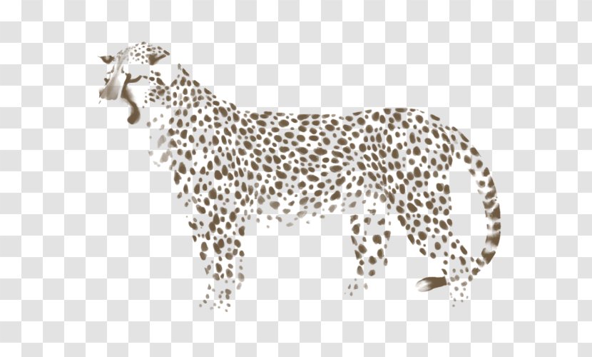 Cheetah Leopard Felidae Jaguar Cat - Point Transparent PNG
