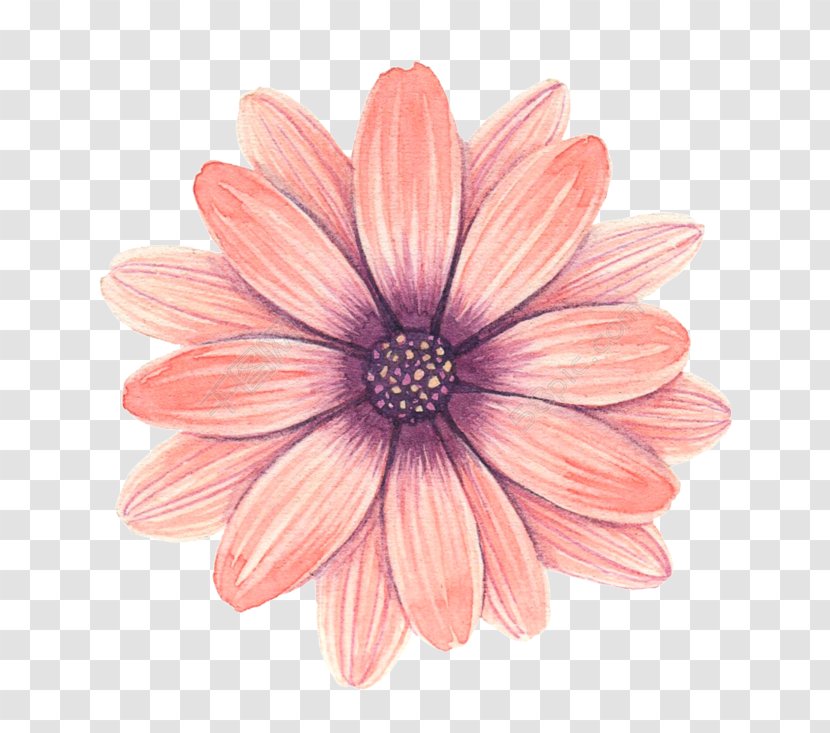 Flower Graphic Design Image - Cut Flowers Transparent PNG
