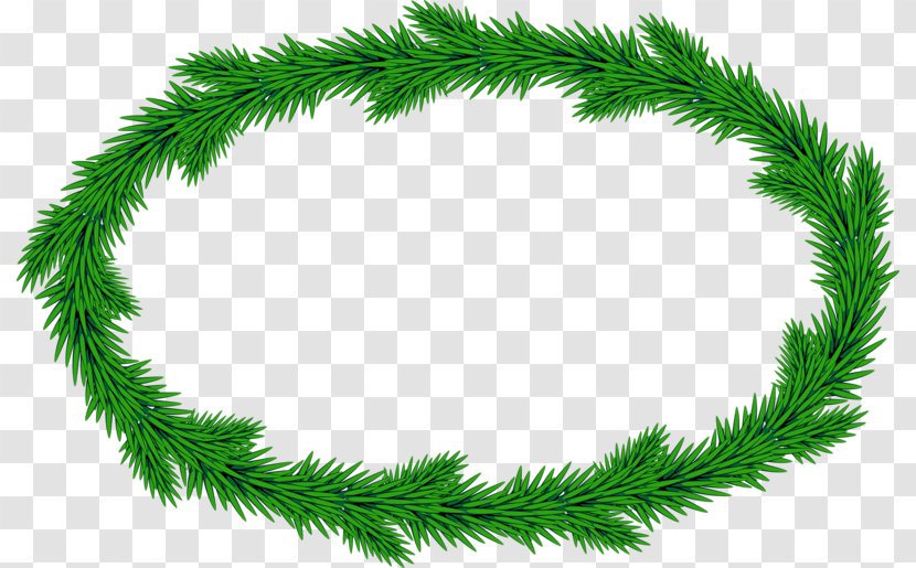Garland Christmas Ornament - Conifer Transparent PNG