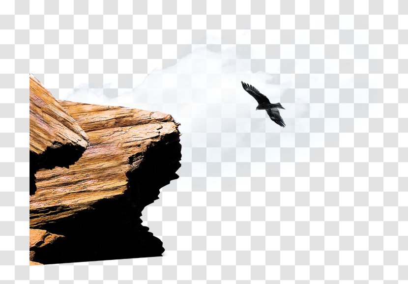 Download - Bird - Eagle Rock Peak Transparent PNG