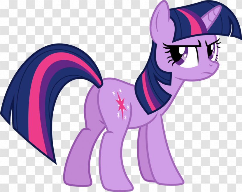 Twilight Sparkle Pinkie Pie Rainbow Dash Pony The Saga Transparent PNG