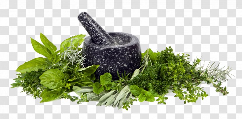 Mortar And Pestle Herb Stock Photography Spice Food - Grass - Oregano Transparent PNG