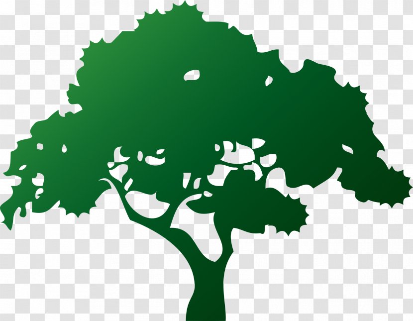 Tree Bonsai Landscaping Pruning Lawn - Silhouette - Natural Environment Transparent PNG