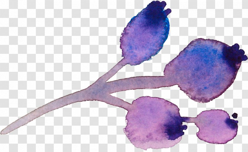 Flower Watercolor Painting Gouache - Petal - Romantic Purple Berries Transparent PNG