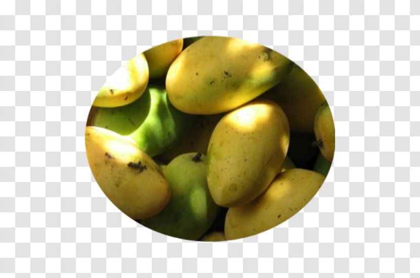Banana Juice Mangifera Indica Mango Vegetable - Auglis Transparent PNG