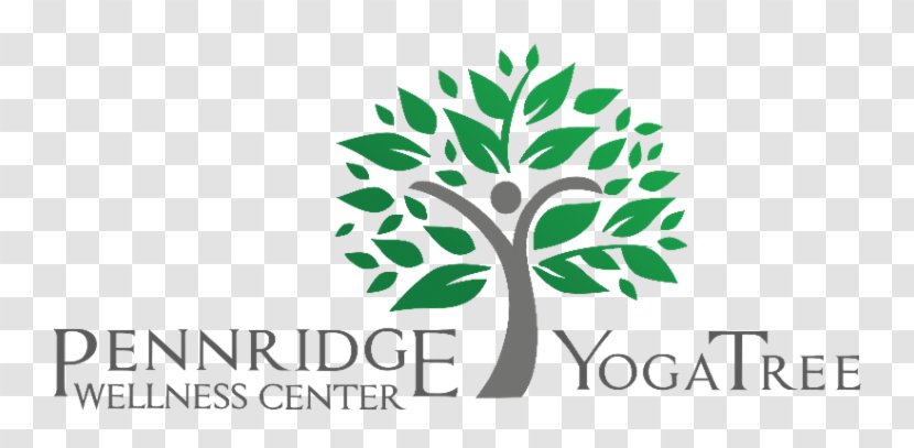 Yoga Tree Pennridge Wellness Center 0 Health, Fitness And - Health - Cannadaddy's Dispensary Transparent PNG