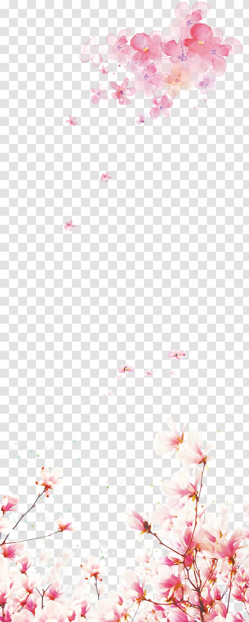 Flower Download - Heart - Cherry Blossoms Transparent PNG
