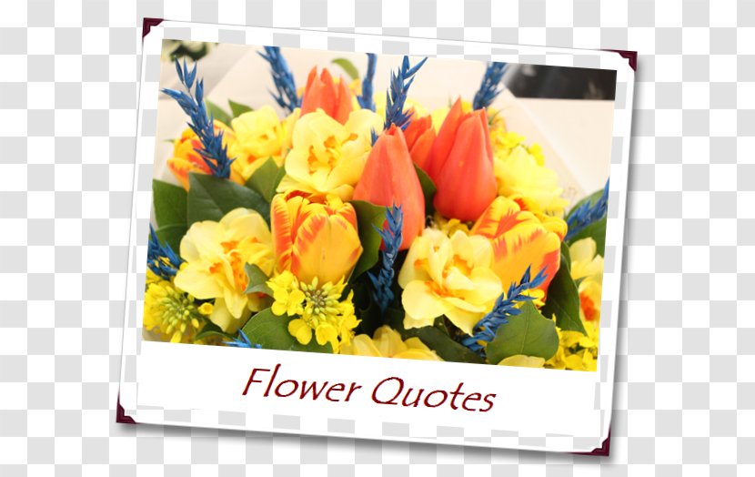 Floral Design Flower Bouquet Cut Flowers Quotation - Yellow Transparent PNG