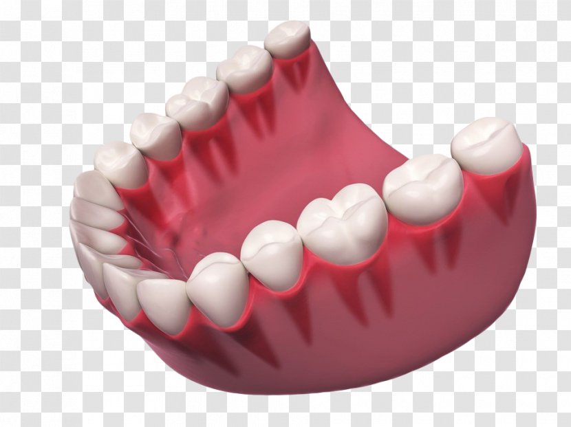 Stock Photography Royalty-free Clip Art - Hand-painted Teeth Transparent PNG