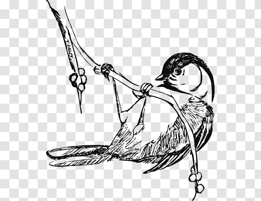 Black-capped Chickadee Drawing Clip Art - Fictional Character - Cherry Tree Branches Transparent PNG
