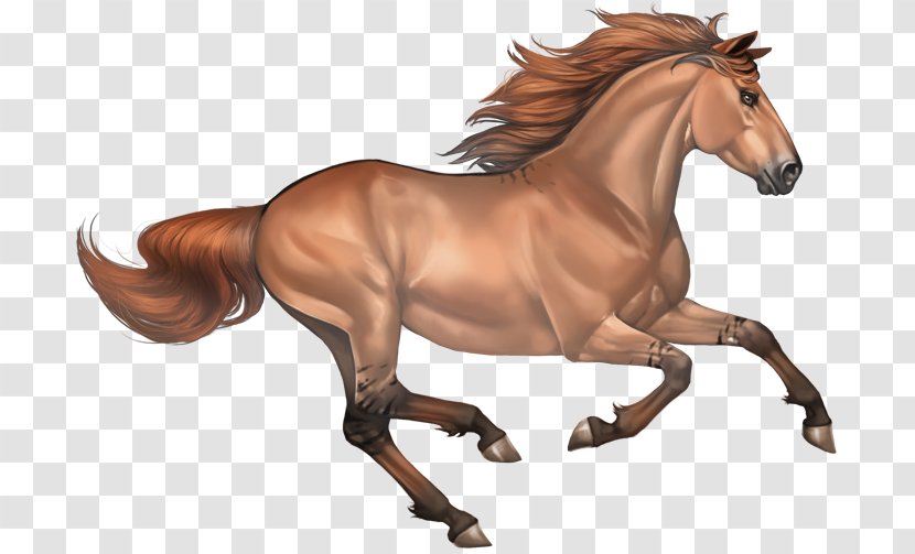 Mustang Clip Art Arabian Horse Stallion - Buckskin - Sorrel Transparent PNG