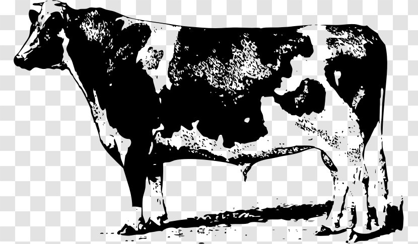 Beef Cattle Drawing Dairy Clip Art - Like Mammal Transparent PNG