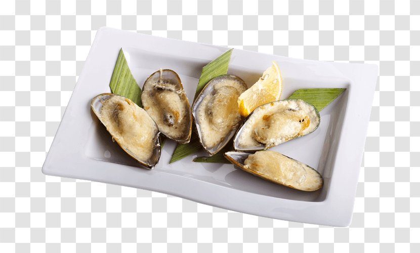 Mussel Clam Oyster Pizza Bolognese Sauce Transparent PNG