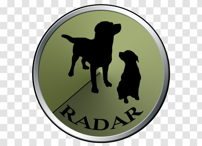 Labrador Retriever Golden Puppy Veterinarian - Petfinder Transparent PNG