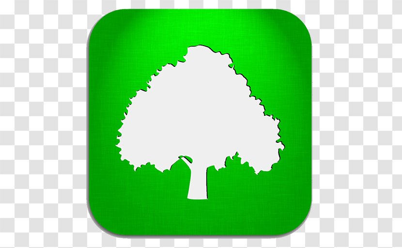 Tree Deciduous Oak Arborist - Grass Transparent PNG