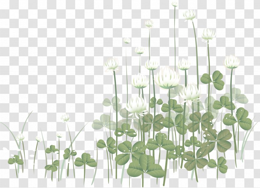 Flower Clip Art - Plant Stem - Clover Transparent PNG