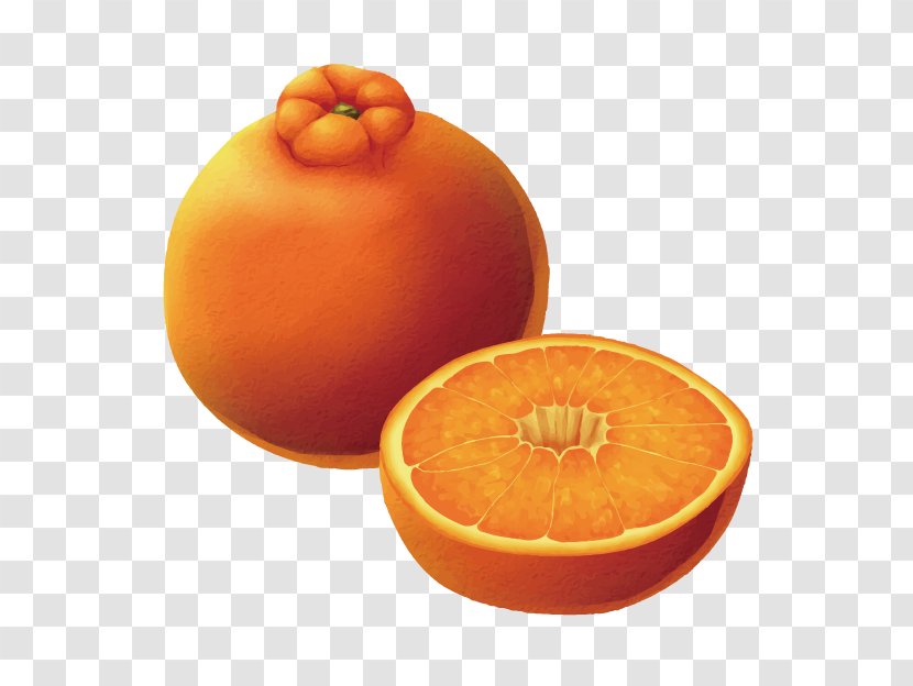 Food Fruit Dekopon - Valencia Orange - 3d Picture Painted Transparent PNG