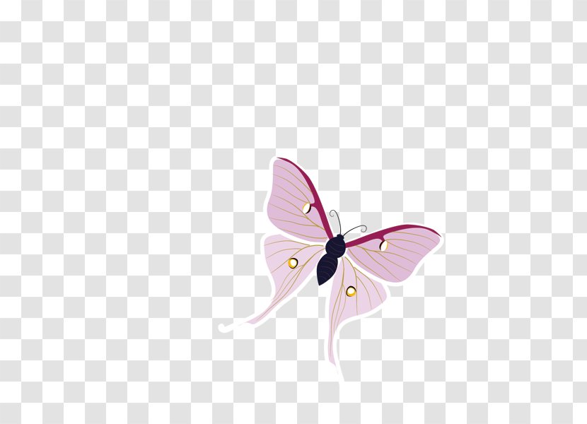 Nymphalidae Butterfly Moth - Moths And Butterflies Transparent PNG