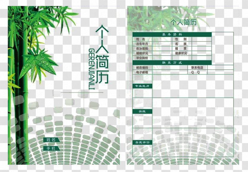 Tea Brand Graphic Design Diagram - Area - Green Personal Resume Template Transparent PNG