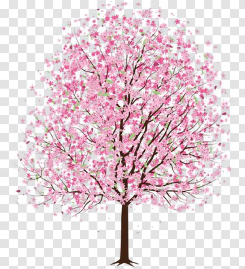 National Cherry Blossom Festival Drawing Illustration - Watercolor Painting Transparent PNG