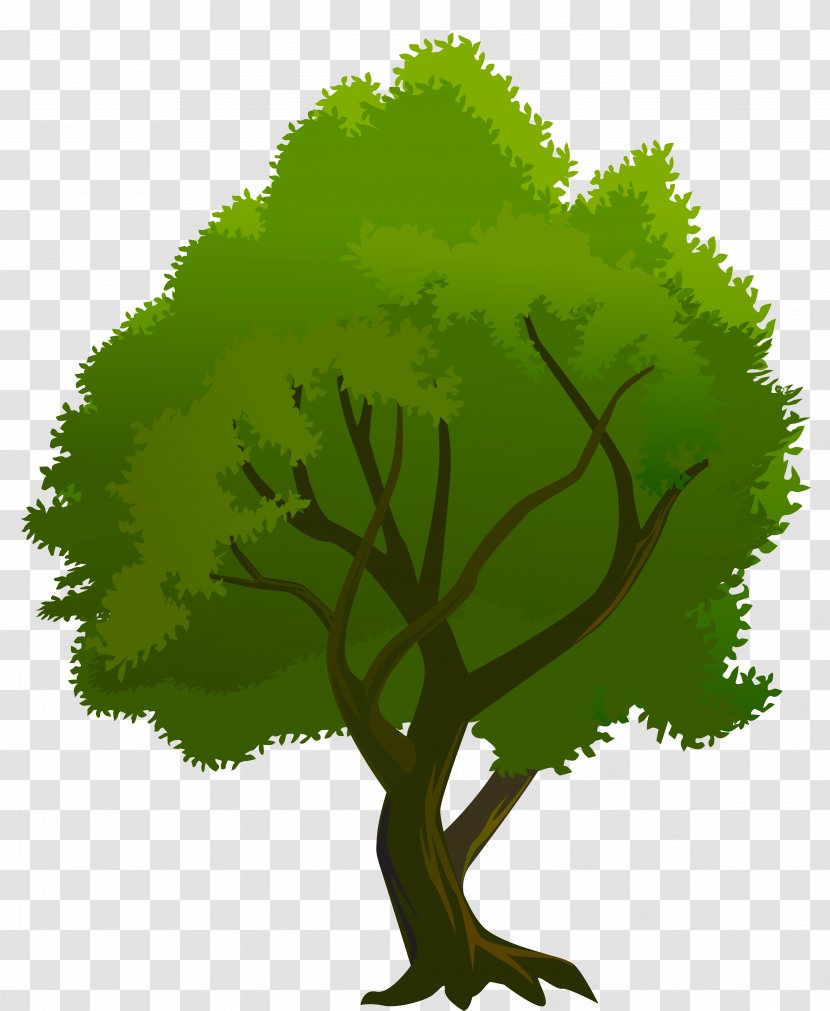Clip Art - Grass - Tree Green Clipart Transparent PNG