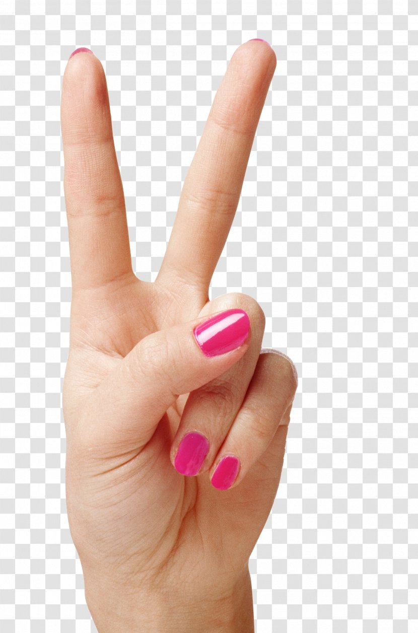 Index Finger Hand Clip Art - Model - Fingers Transparent PNG