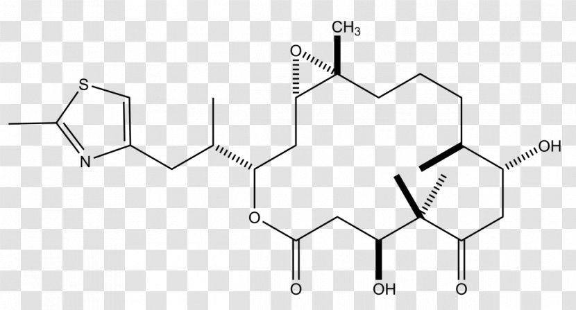 Epothilone Paclitaxel Discodermolide Discovery And Development Of Tubulin Inhibitors Microtubule - White - Area Transparent PNG