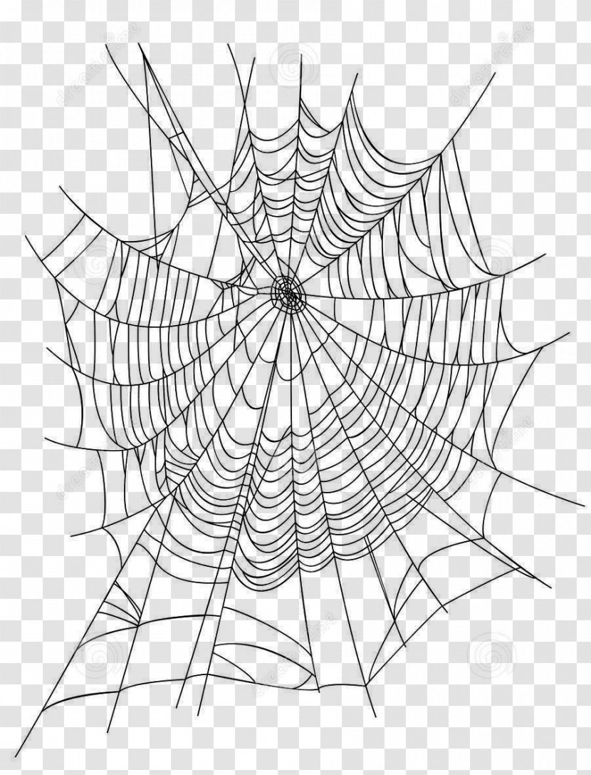 Spider Web Euclidean Vector Illustration - Creative Cartoon Icon Transparent PNG
