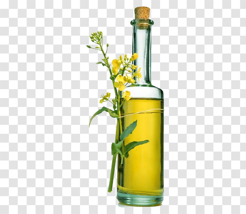 Olive Oil Rapeseed Bottle Cooking Oils - Cauliflower And A Of Transparent PNG