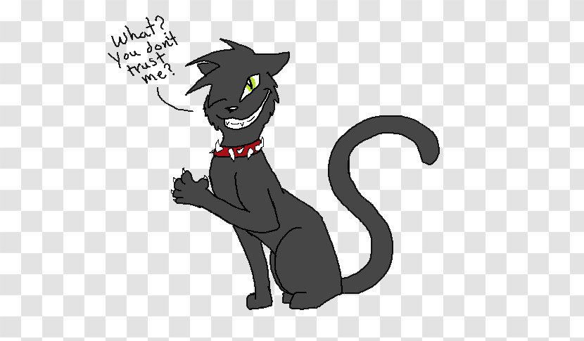 Black Cat Whiskers Dog Drawing - Warriors Transparent PNG