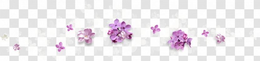 Purple Flower Violet - Lilac Transparent PNG