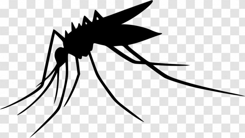 Mosquito Clip Art - Silhouette Transparent PNG