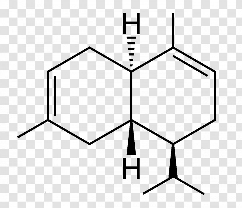 Amine Amino Acid Catalysis Chemistry Chemical Compound - Active Site - Gquadruplex Transparent PNG