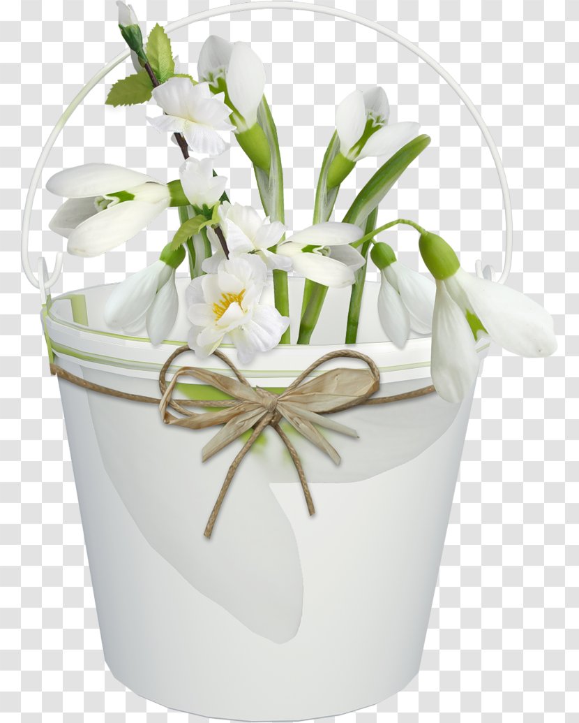 Cut Flowers Floristry Floral Design Tulip - Snowdrop - Flower Transparent PNG