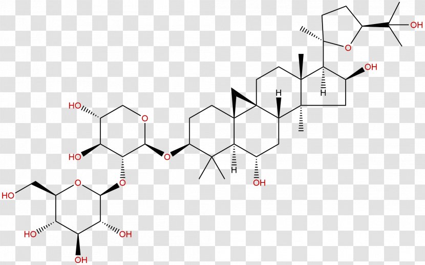 Ginsenoside Panax Notoginseng Chinese Herbology Huáng Qí Saponin - Frame - ASTRAGALI RADIX Transparent PNG