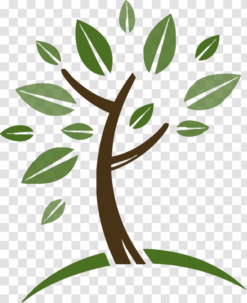 Tree Monday's Wee Read! Story Time Urban Forestry Wood Clip Art - Organism Transparent PNG